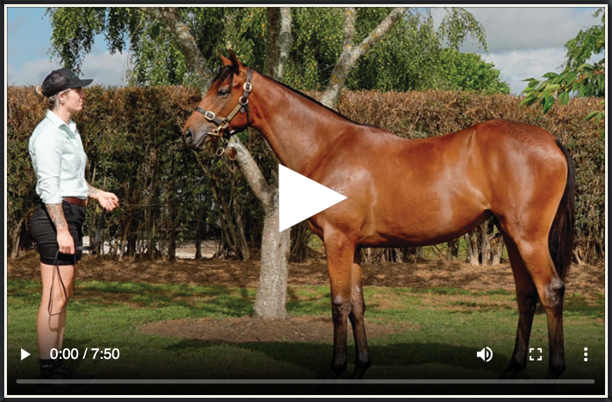 This Week's Video Newsletter